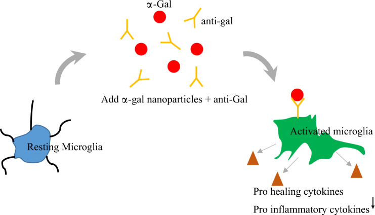 graphic file with name 13770_2023_613_Figa_HTML.jpg