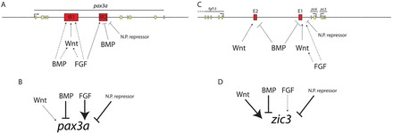 Fig. 9.