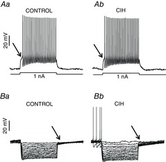 Figure 8