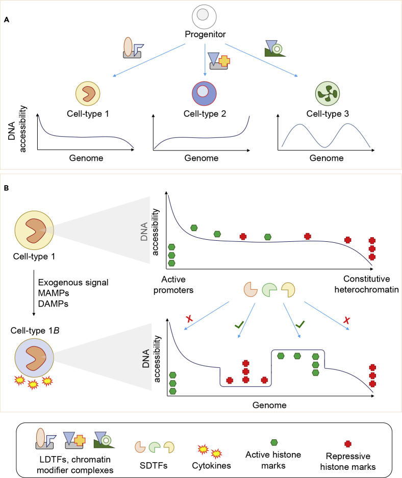 Figure 2