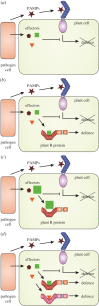 Figure 1.