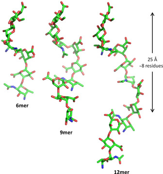 Figure 13