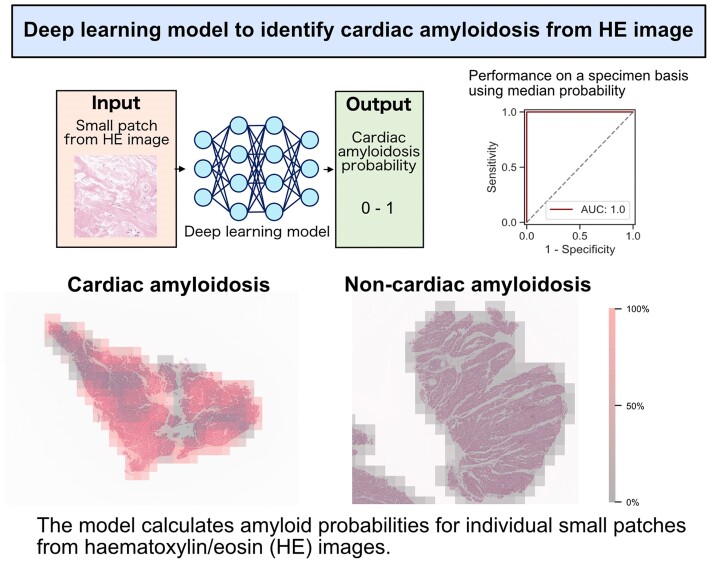 Graphical Abstract