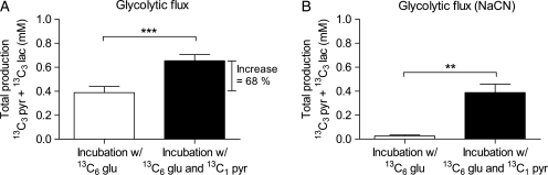 Figure 5