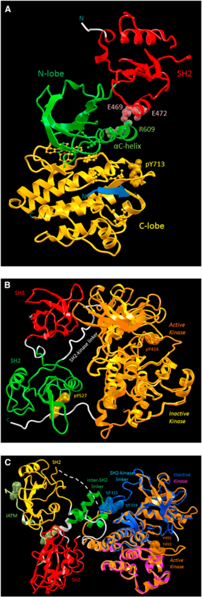 Figure 5.