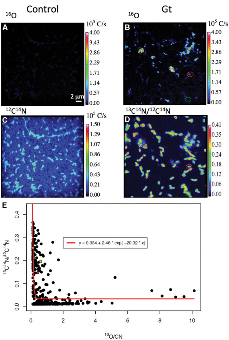 FIGURE 4