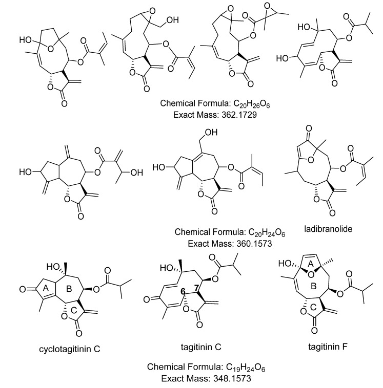 Figure 7