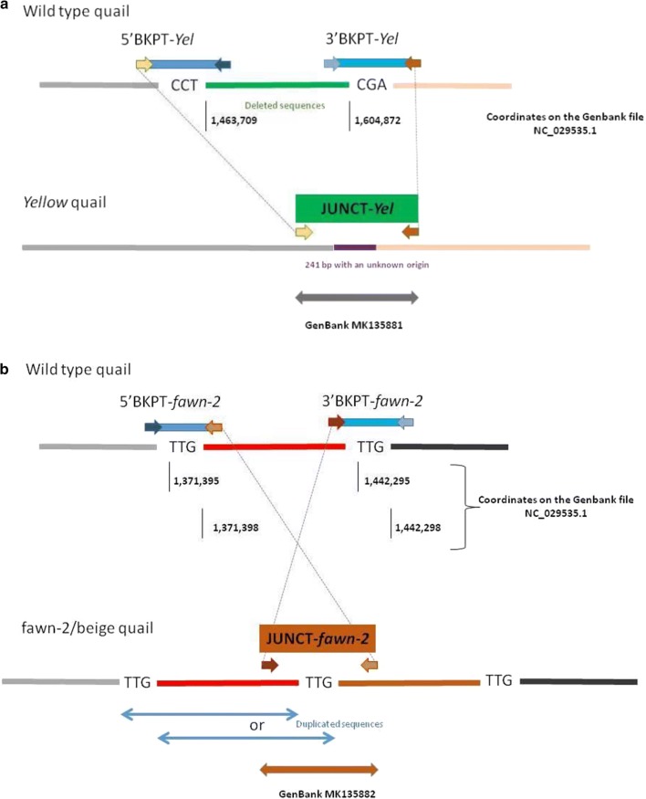 Fig. 2