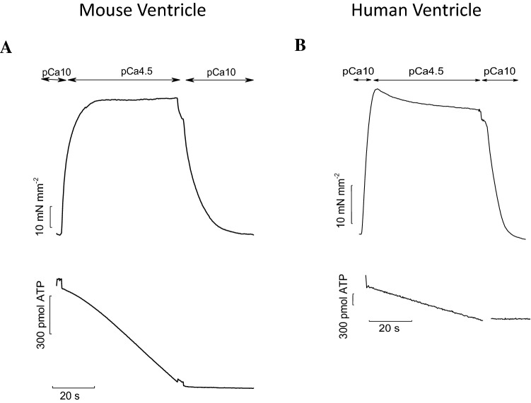 Fig. 3