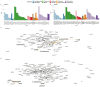 Bar charts and network graphs comparing antibiotic resistance genes in samples A and B. The bar charts (top) show distribution of various resistance genes by type, including aminoglycosides and beta-lactams, with different color coding. The network graphs (bottom) map associations between bacterial species and resistance genes, highlighting connections between Fluoroquinolone resistance genes and their hosts.