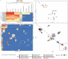 Four-panel figure displaying data analysis of methylation motifs and genome clustering. Panel A is a heatmap showing methylation percentage across contigs with various methylation motifs listed. Panel B is a scatter plot using UMAP dimensions highlighting plasmids and genomes like E. coli. Panel C is another heatmap illustrating methylation motifs, indicating hierarchical clustering of contigs. Panel D is a UMAP plot revealing clusters of different microbial species and genomic elements, depicted with various colored shapes indicating chromosomes, plasmids, and viruses, differentiated by depth. Panels A and B highlight the similar methylation motifs in E. coli, some unbinned plasmids, and a few other species with similar methylation motifs. Panels C and D include a broader range of species.