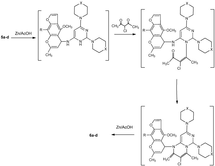 Scheme 2