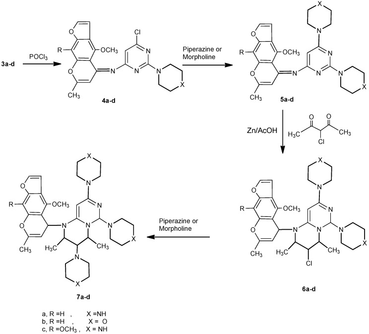 Scheme 3