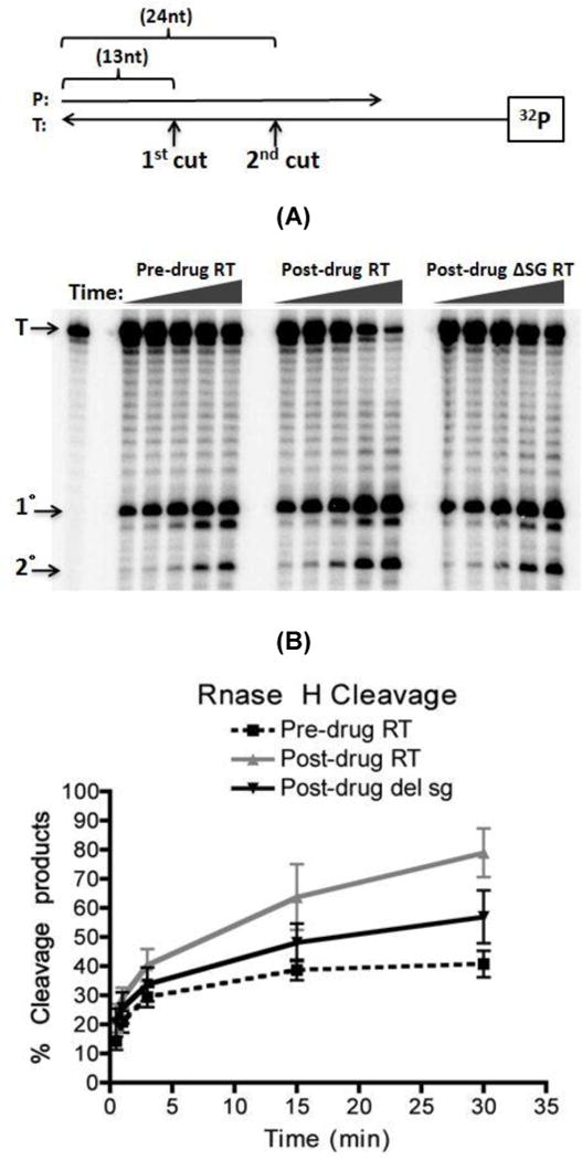 FIG. 6