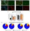 Figure 2—figure supplement 4.