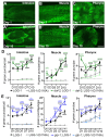 Figure 1—figure supplement 1.