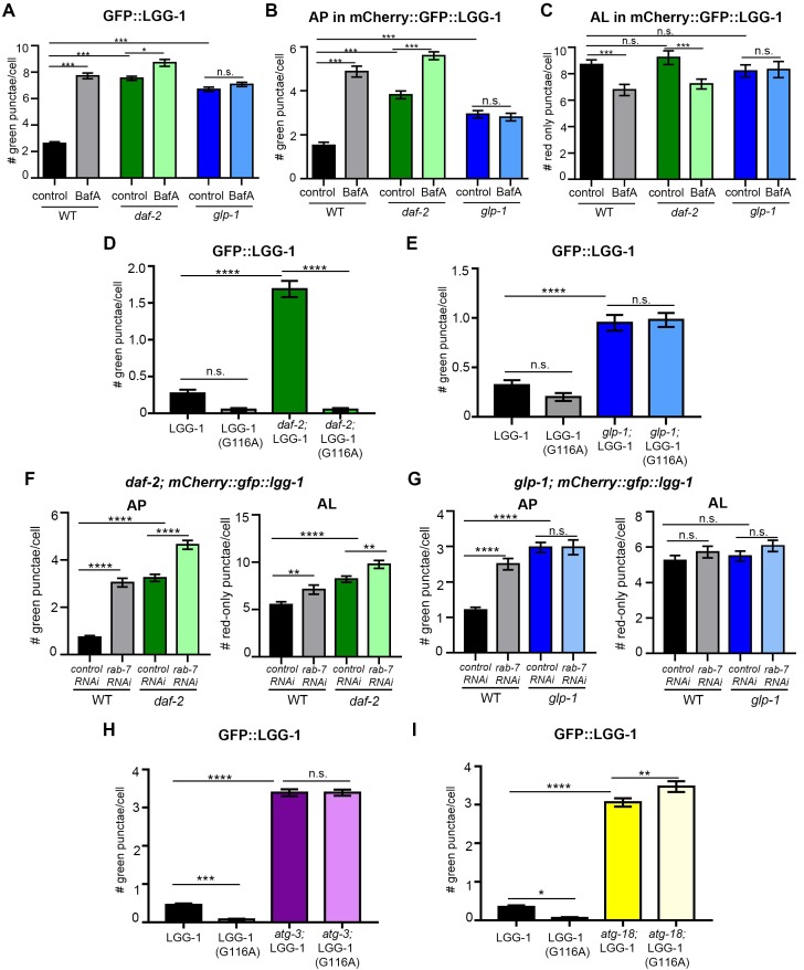 Figure 4—figure supplement 1.