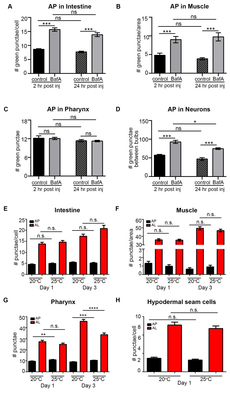 Figure 3—figure supplement 1.