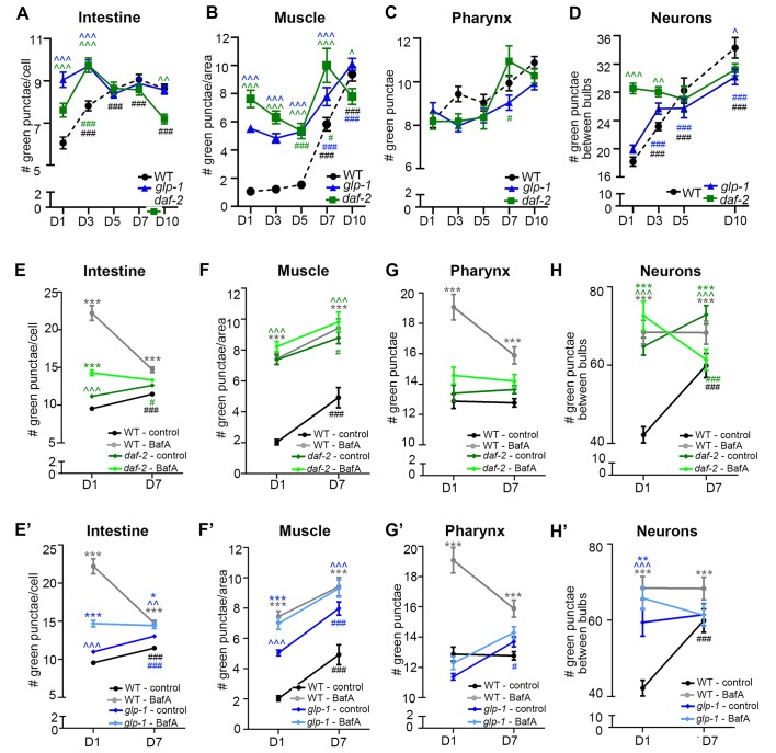 Figure 3—figure supplement 3.