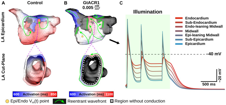 FIGURE 6