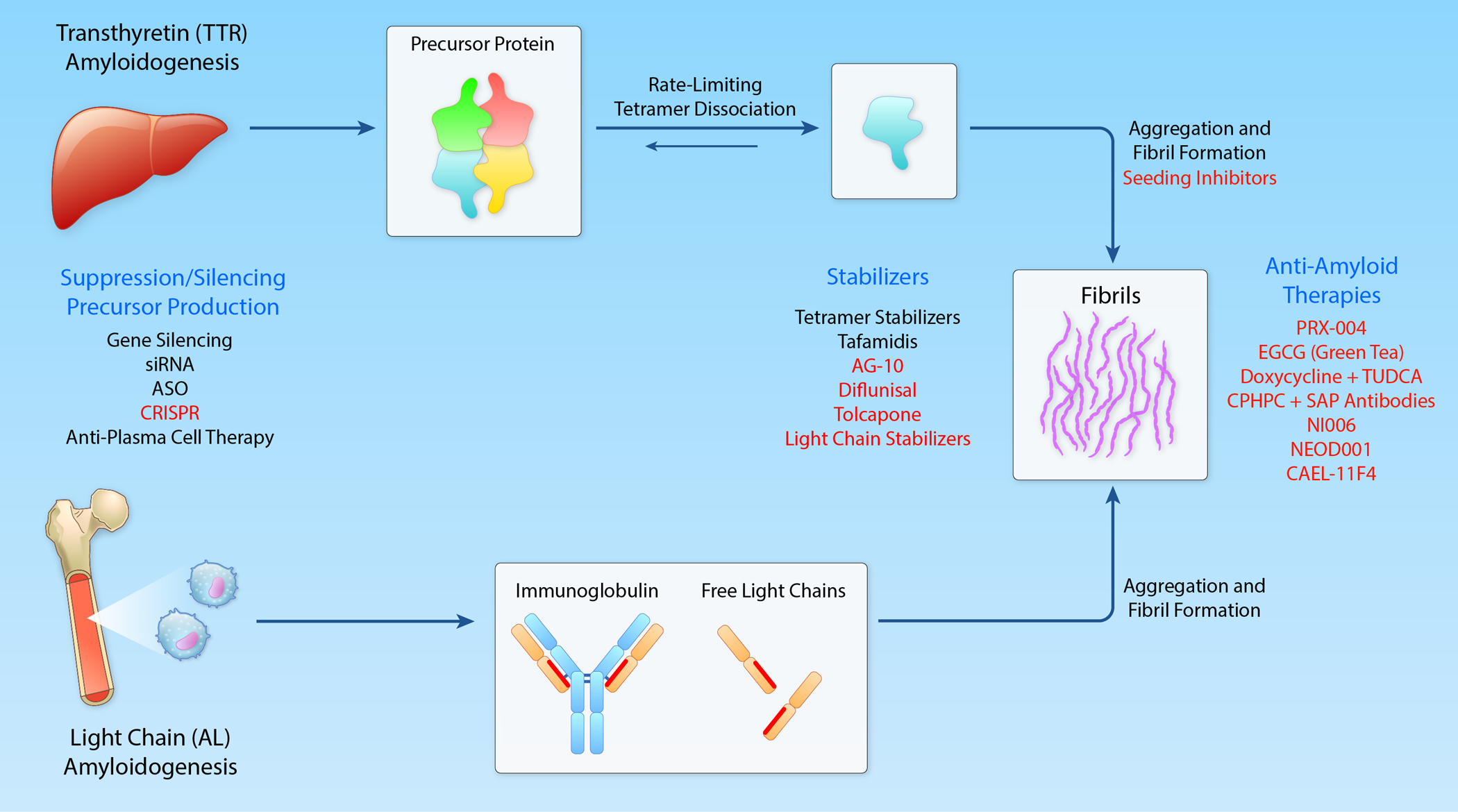 Figure 1: