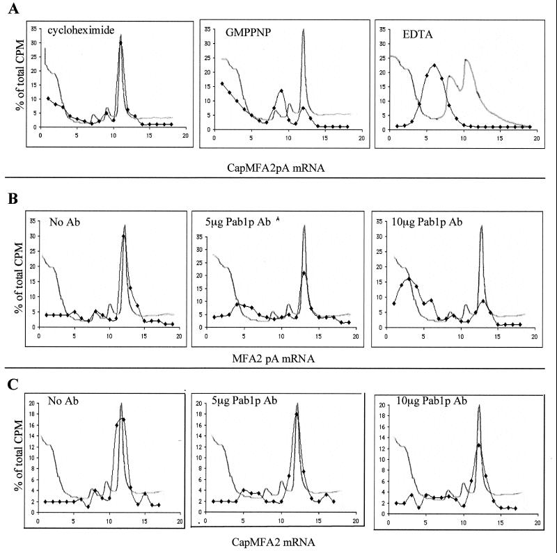 FIG. 7