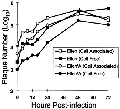 FIG. 4.