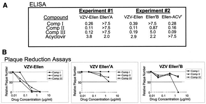 FIG. 3.