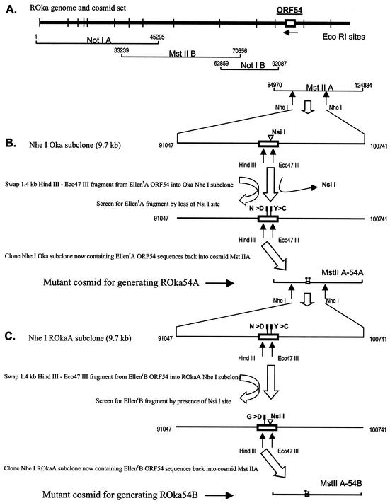 FIG. 6.