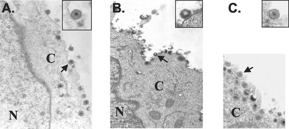 FIG. 10.