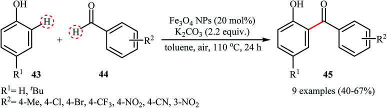 Scheme 22