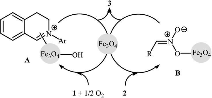 Scheme 2