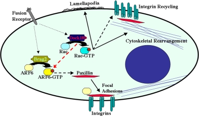 Figure 10.