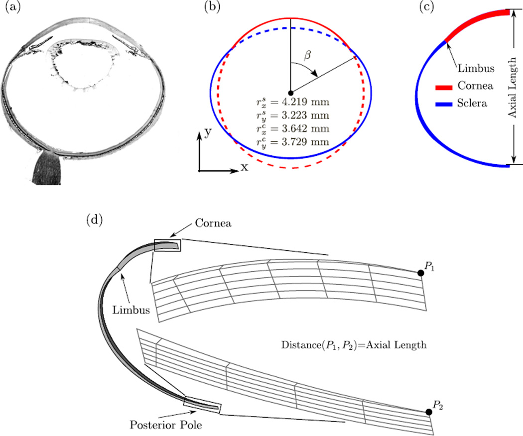 Fig. 8