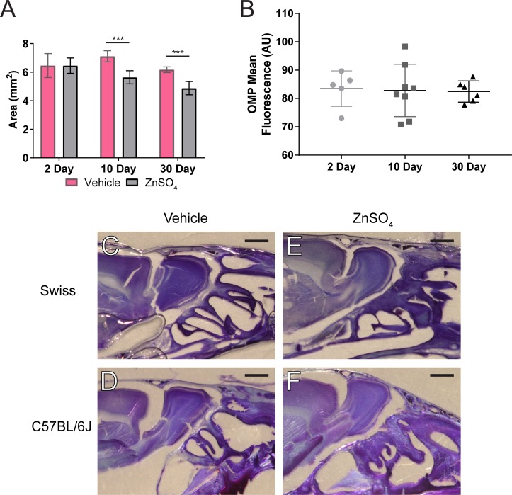 Figure 6—figure supplement 1.