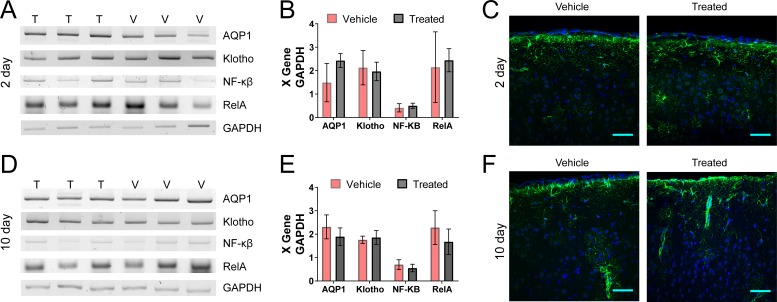 Figure 6—figure supplement 2.