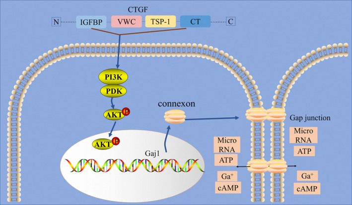 FIGURE 6