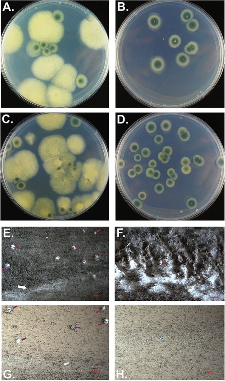 FIG 2