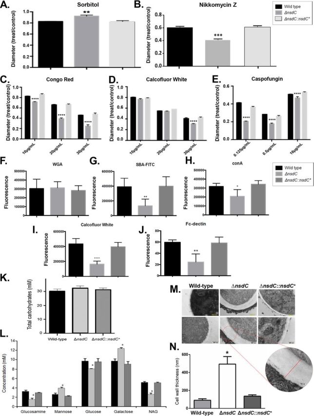 FIG 4