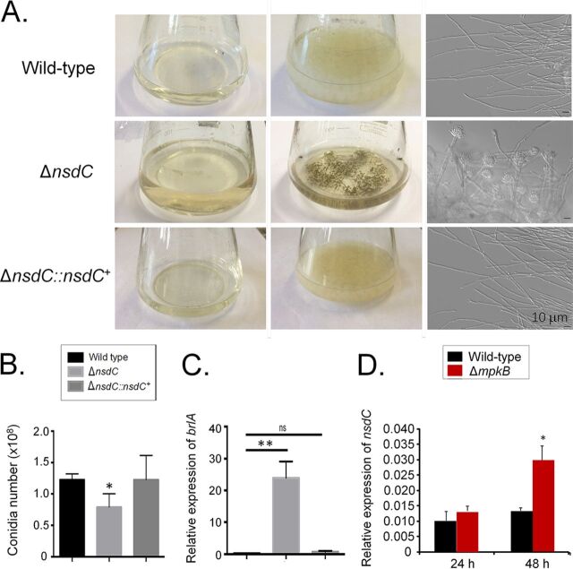 FIG 3