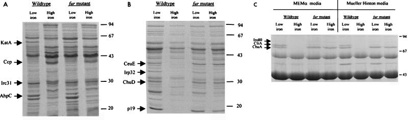 FIG. 4