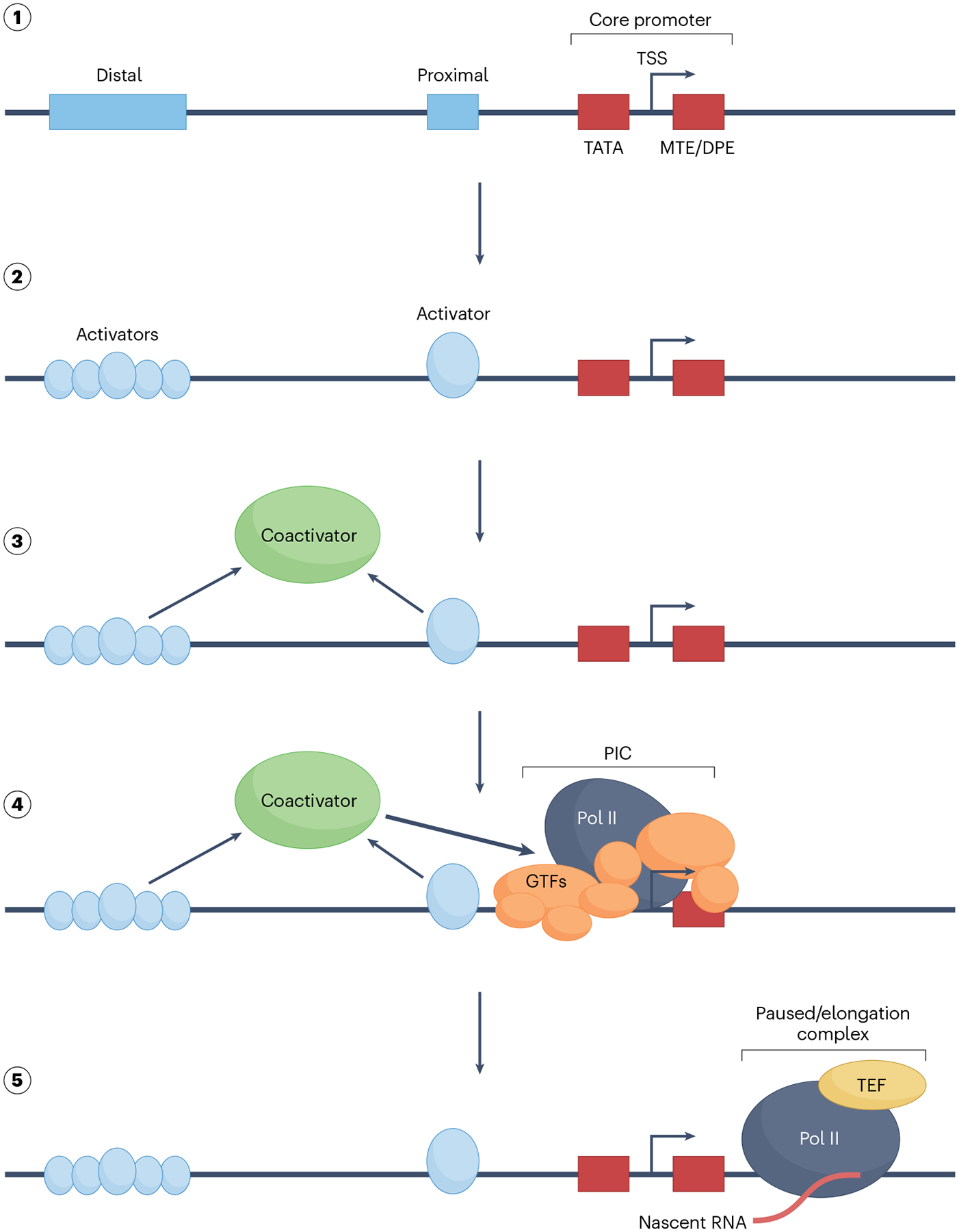 Fig. 2 |