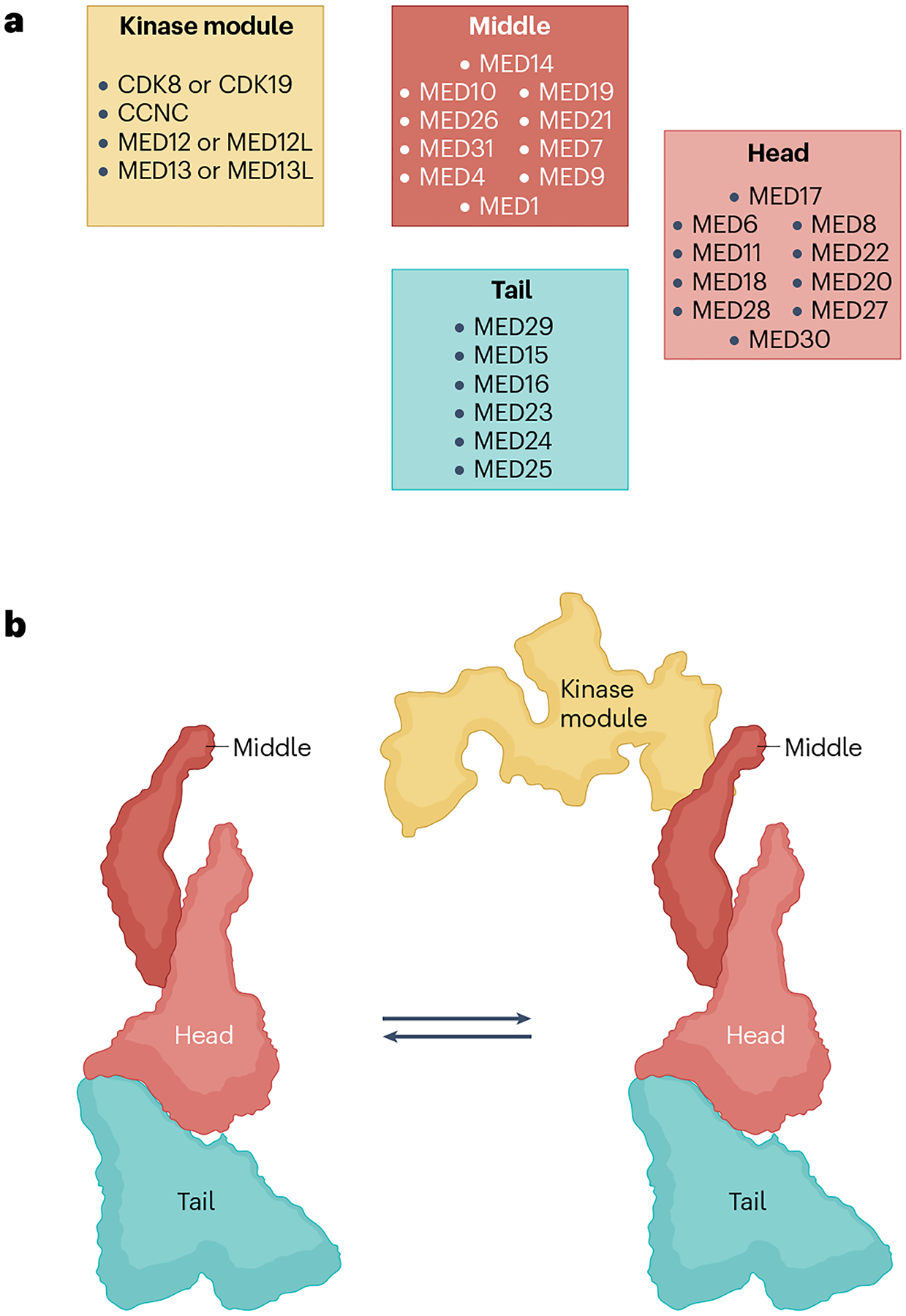 Fig. 3 |