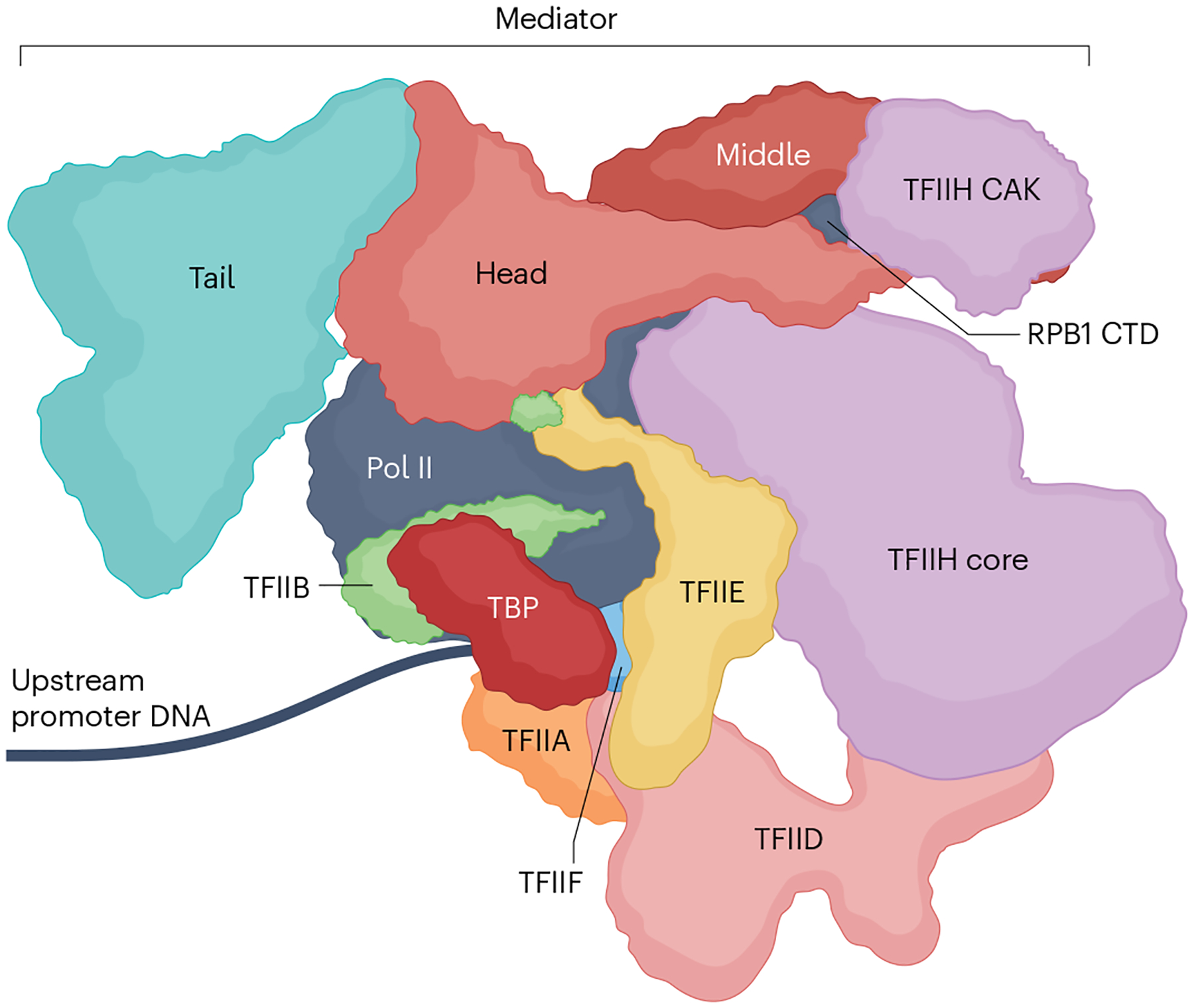 Fig. 7 |