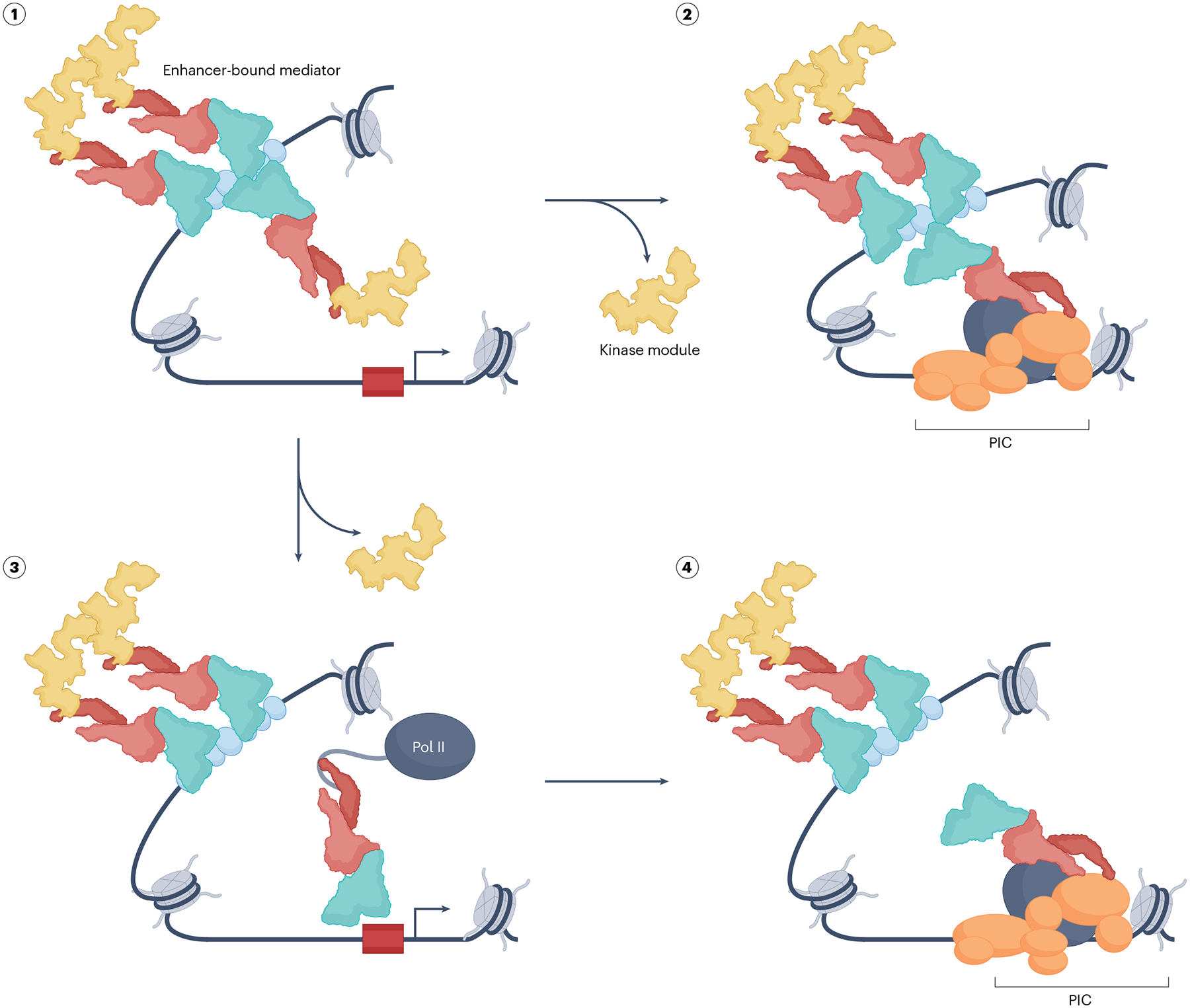 Fig. 6 |