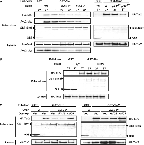 FIG. 4.