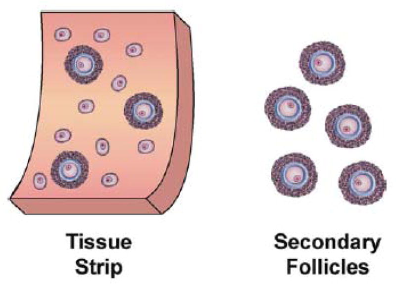 Fig. 3.4