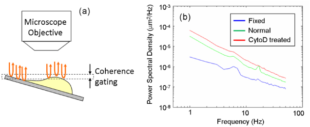 Fig. 5