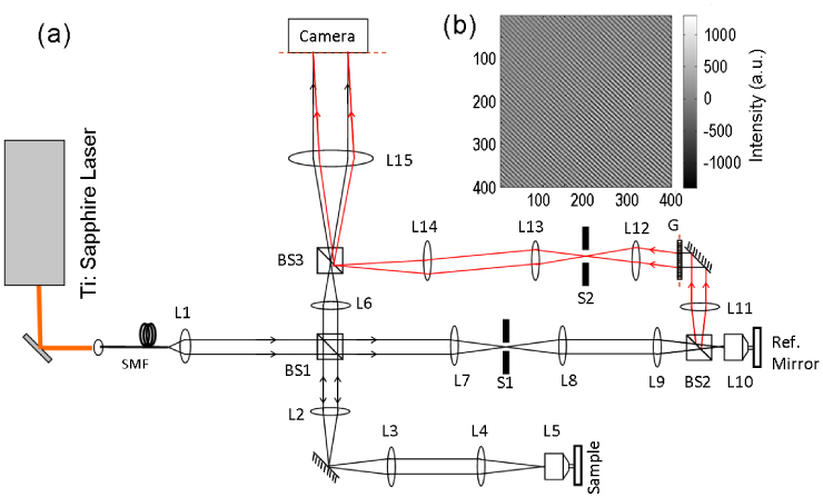 Fig. 1