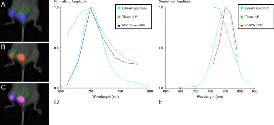 Fig. 4